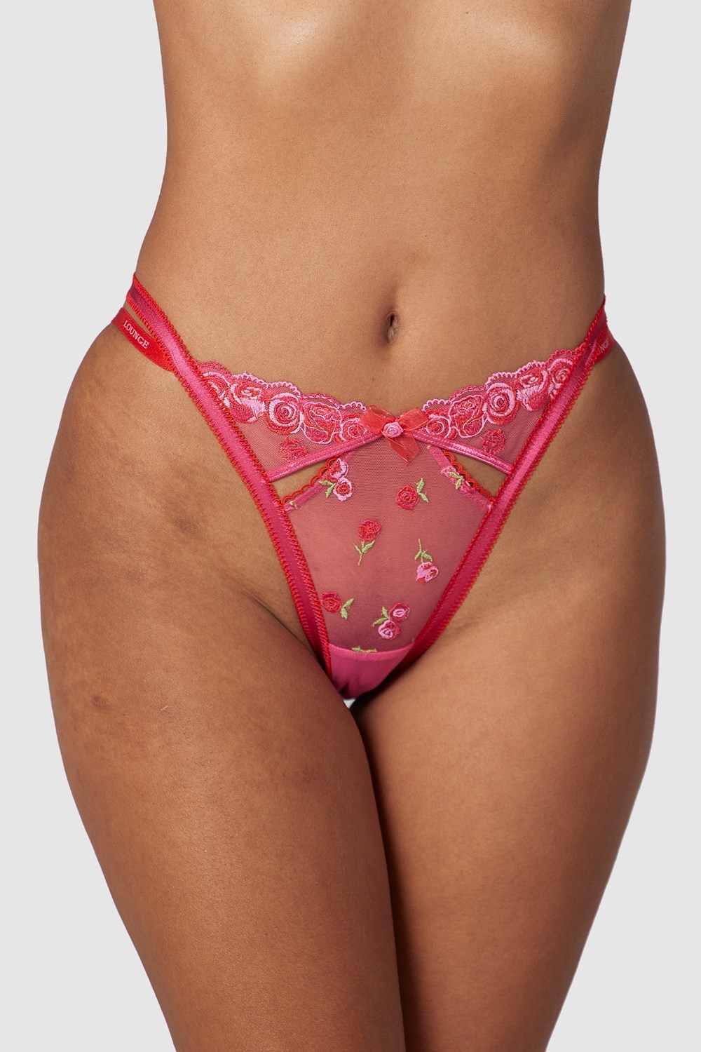 Lounge Underwear Blush Embroidered Briefs Pinkki | 187549HUC