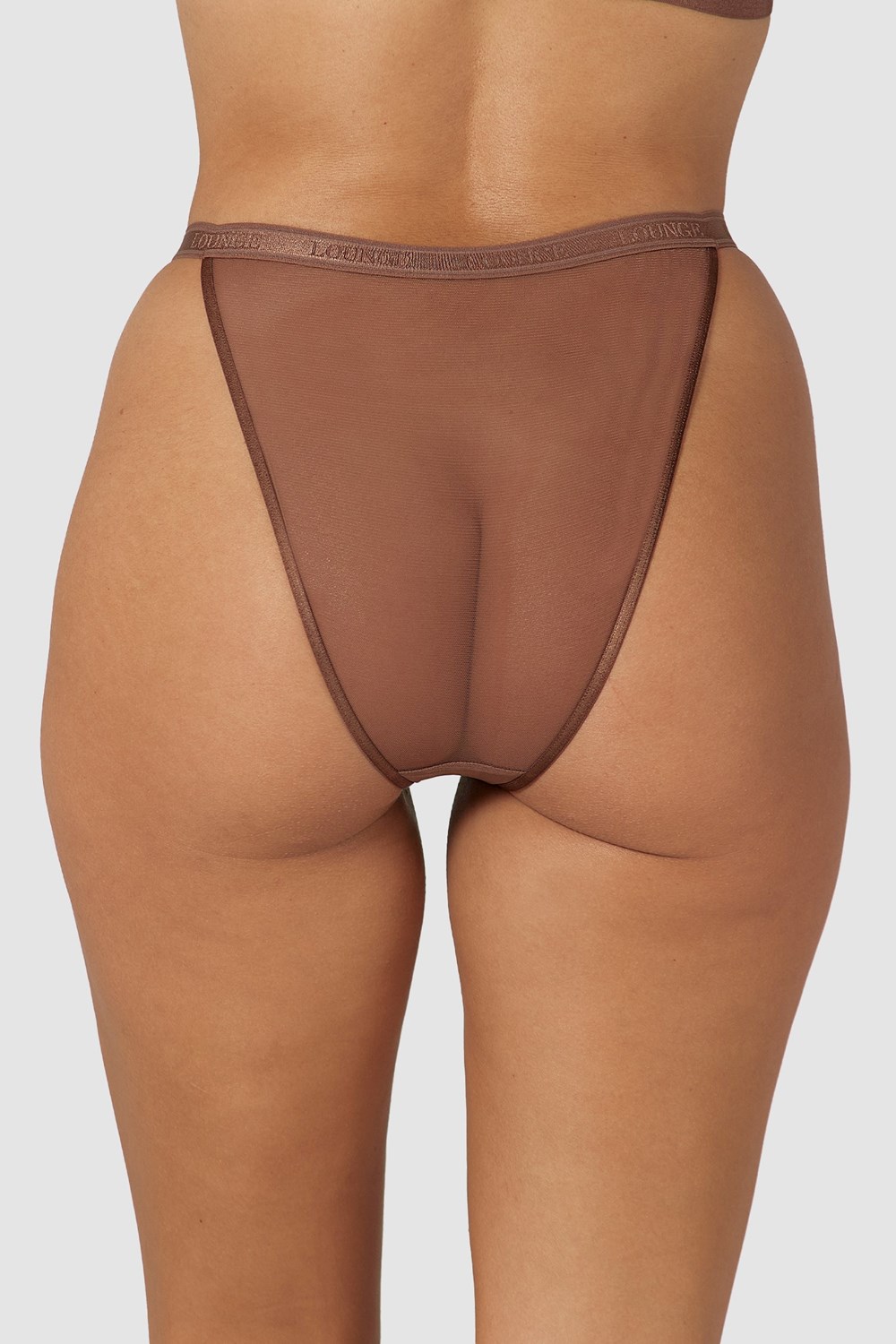 Lounge Underwear Smooth Mesh Briefs Chestnut | 569130UKF